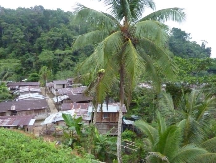 La guerra asedia a las comunidades indígenas del Chocó